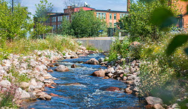 Fiskomlöpet vid Nykvarnsholmen i Linköping